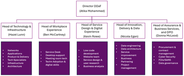 DDaT service infrastructure