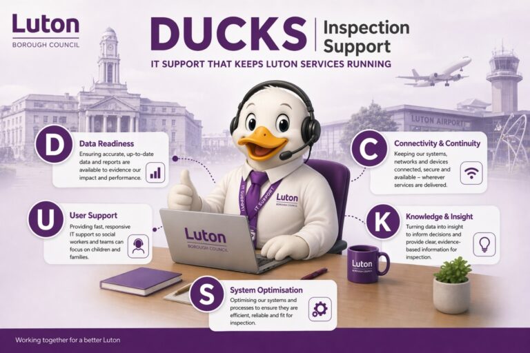 Image describing DUCKS inspection support - content repeated in text.